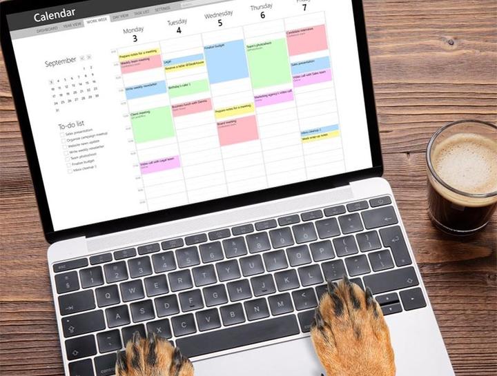 veterinary appointment online booking