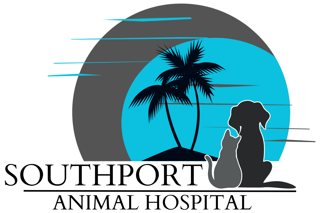 Link to Homepage of Southport Animal Hospital