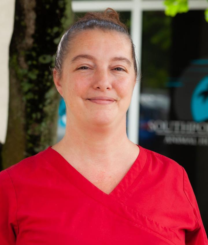 Experienced Veterinarians Animal Hospital In Ft Lauderdale